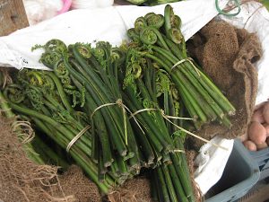 Edible ferns at Thimphu Market